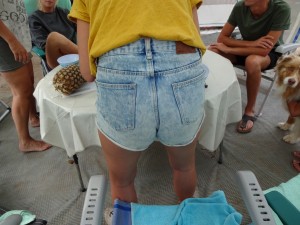 DSC01713