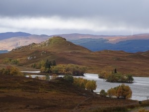 DSC00799