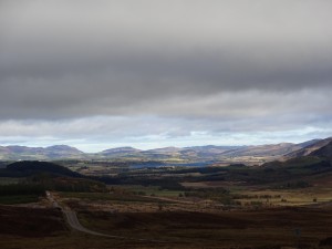 DSC00803
