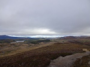 DSC00809