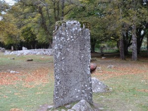 DSC00880
