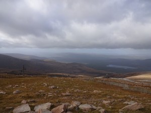 DSC00893