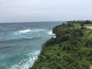 IMG 7208
