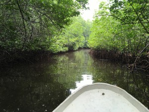 IMG 7184