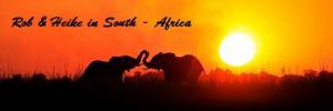 banner_babyelephants4