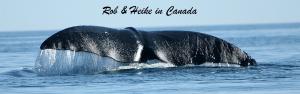 RobHeikeinCanada2